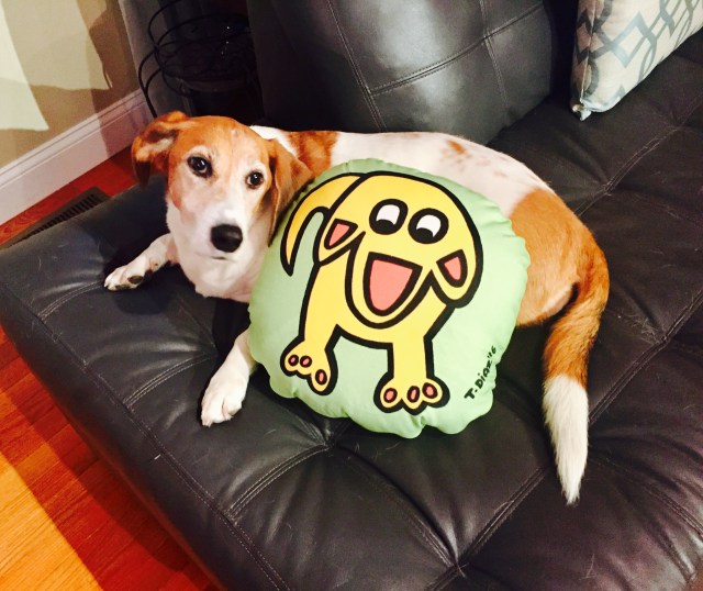 BellaWithDoggiePillow