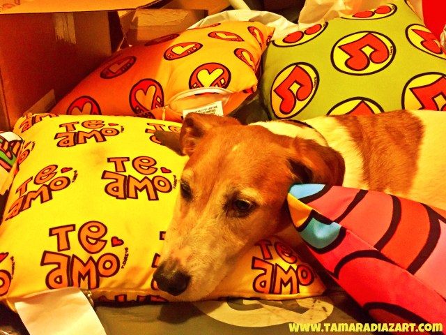 A3FB0513-0589-402E-B9E9-B2D1E3BFBDDC