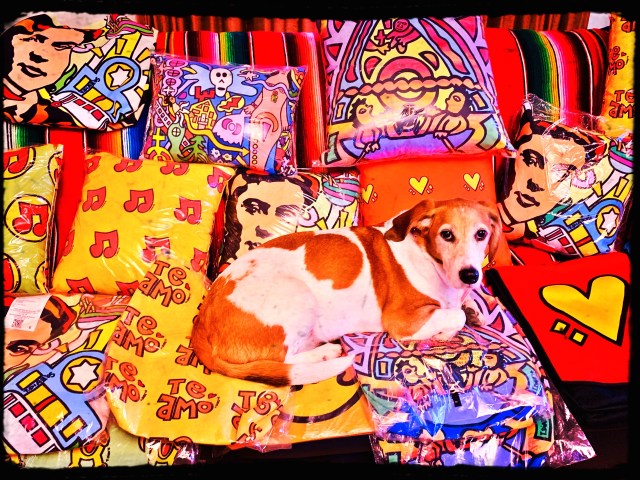 DB9E81AF-C68C-46C3-B03B-58C805A4381C